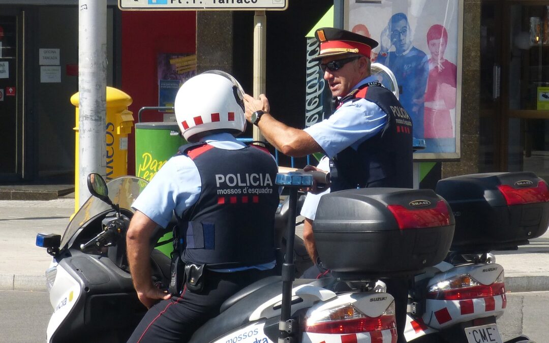 Escalas de la policía nacional : acceso y funciones